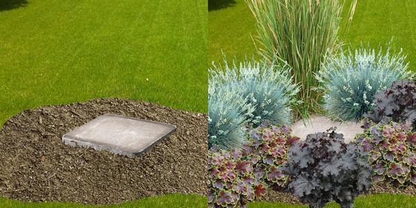 comment planter pour cacher fosse septique